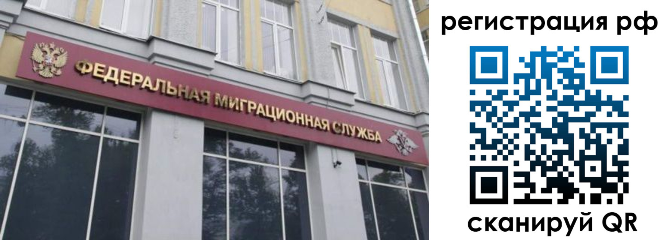 прописка законно в Медногорске